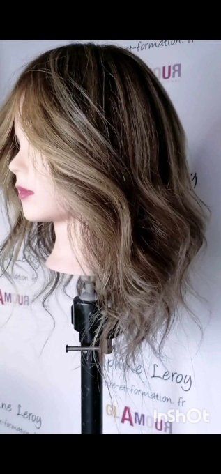 Module expert de techniques Balayages et Balayages Tendances