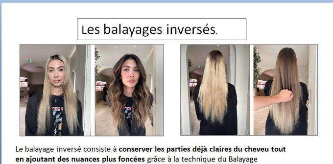 Module expert de techniques Balayages et Balayages Tendances